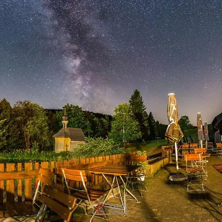 Appartement Zum Wilden Michel Linach