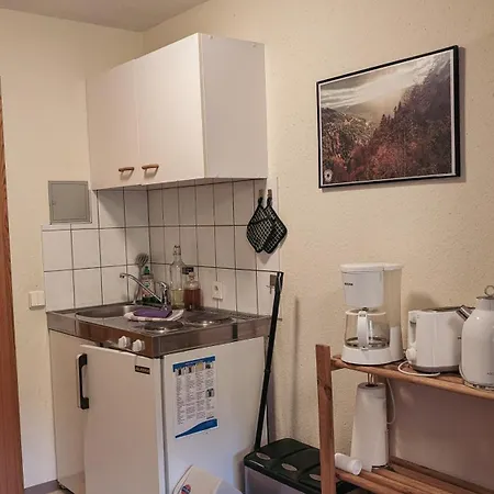 Apartment Zum Wilden Michel Linach