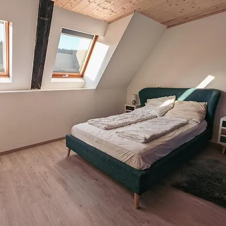 Apartment Zum Wilden Michel