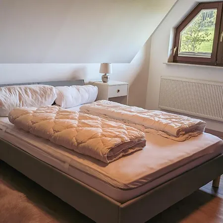 Zum Wilden Michel Apartment *