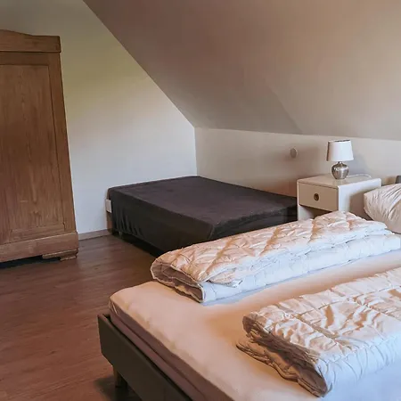 Appartement Zum Wilden Michel Linach