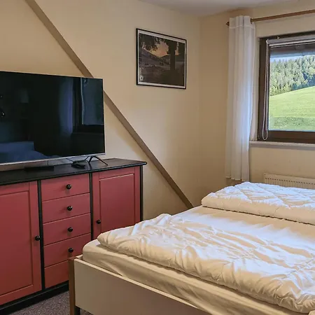 Zum Wilden Michel Апартаменты Linach