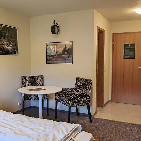 Appartement Zum Wilden Michel Linach